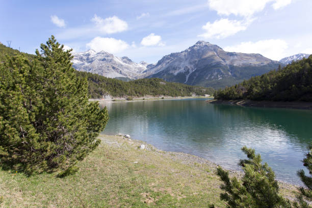 istock The Cancano lake in Bormio view 1253336259