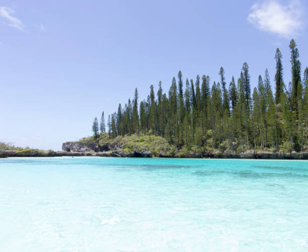 istock The beautiful natural poll at Ile des Pins 1253336779