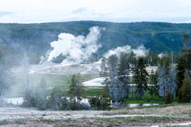 istock Geysers at Yellowstone National Park 1253337299