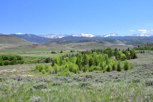 istock Grand Lake Colorado 1253337319