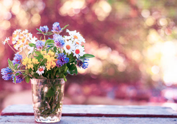 istock Bouquet wildflowers on the nature background 1253337338