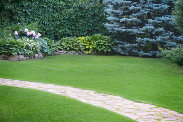 istock Beautiful garden with green grass 1253337906