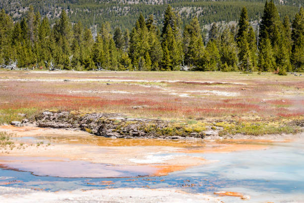 istock Geysers at Yellowstone National Park 1253338573