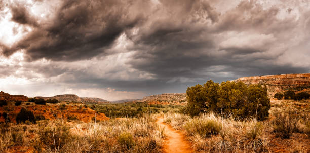 vista panoramica con nuvole drammatiche nel palo duro canyon state park - panoramic wild west desert scenics foto e immagini stock