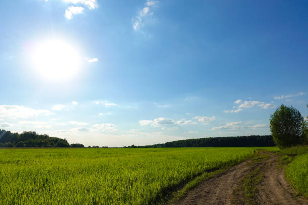 Summer landscape with green grass, road and clouds