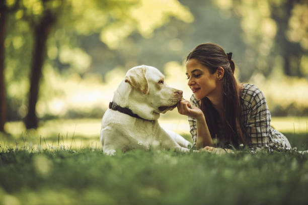 Woman spending some time with her dog outside stock photo