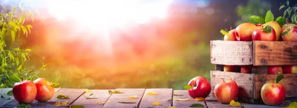 Photo of Apples On Table At Sunset