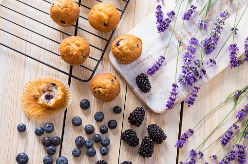 Blueberries muffins or cupcakes with fresh berries and lavender on wooden table. Summer colours and flavours