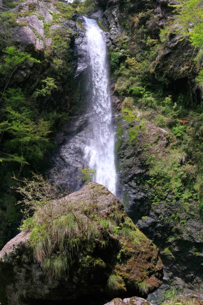 istock Ooare waterfall with rich nature, Early summer (Kami City, Kochi Prefecture) 1253349195