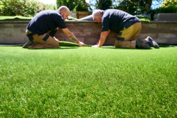 Fake grass installation team Two workers making sure artificial grass fits properly yard measurement stock pictures, royalty-free photos & images