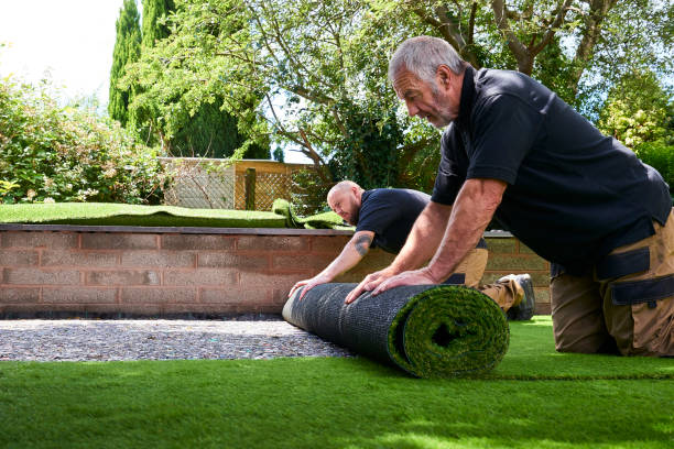Rolling out second roll Two workers Installing artificial grass in modern garden of home turf photos stock pictures, royalty-free photos & images