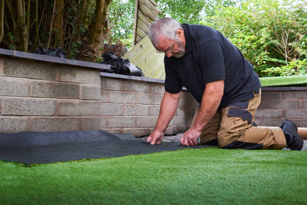 istock Trimming edges of fake grass 1253350504