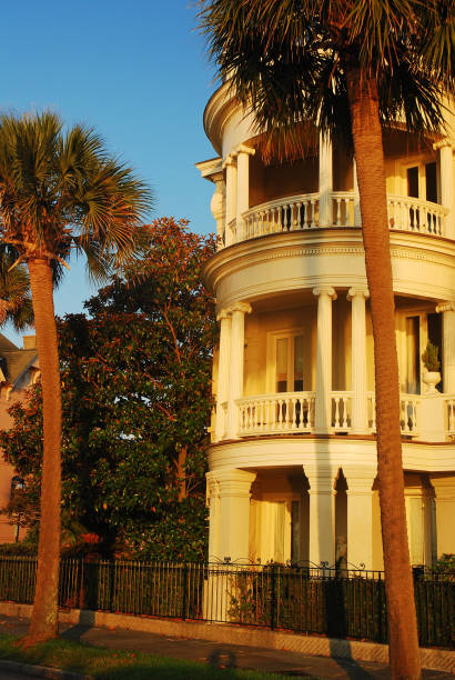 casa storica a charleston, carolina del sud - day vertical palmetto south carolina foto e immagini stock