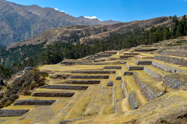 istock Inca terrace farms in Peru 1253352068