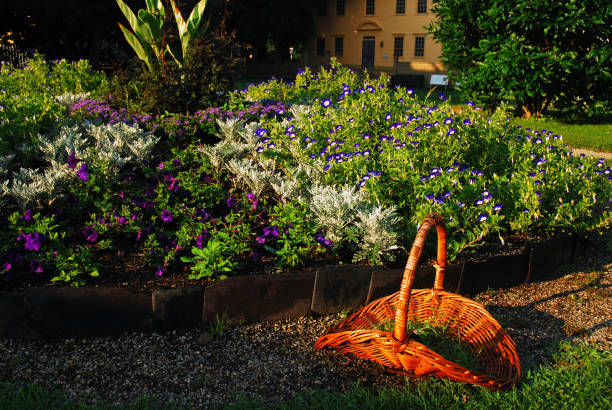 A gardener's wicker basket is placed in front of the flowers they were tending to in Prescott Park in Portsmouth, New Hampshire
