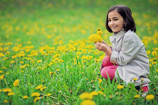 Little girl is picking flowers in a park