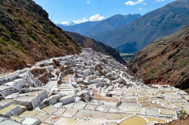 istock Salt farm pools in Peru 1253352180
