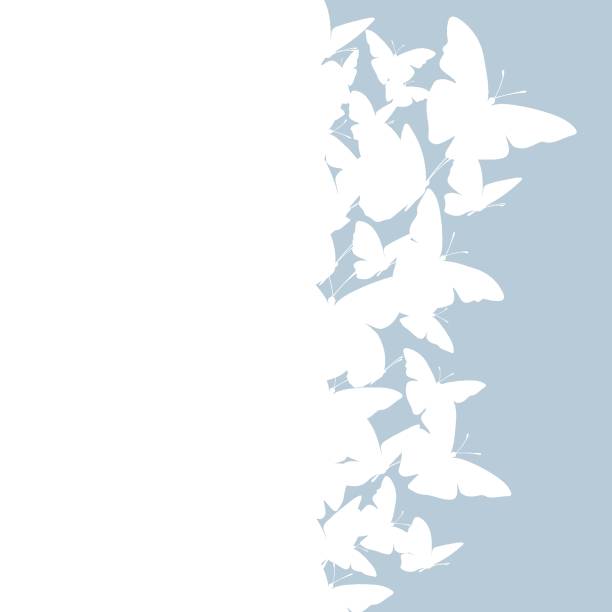 illustrations, cliparts, dessins animés et icônes de carte vectorielle de papillon volant. - ailes déployées