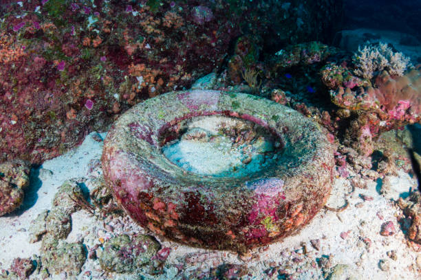 discarded car tyre on the seafloor on a tropical coral reef in asia - wild abandon imagens e fotografias de stock
