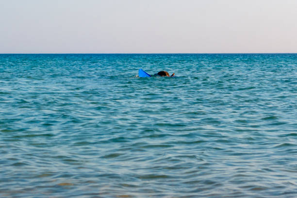 Boy Summer fun on the sea