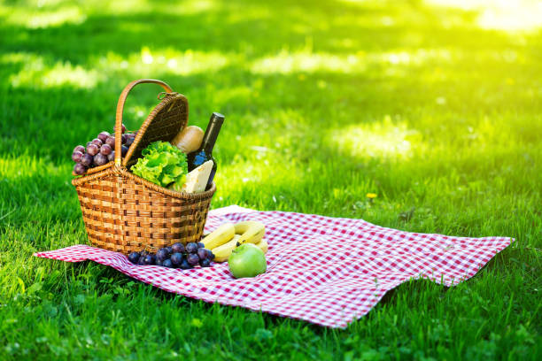 istock Picnic basket in summer park 1253364728