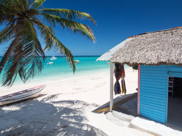 istock Typical caribbean house near Atlantic ocean beach with coconut palm tree 1253365524