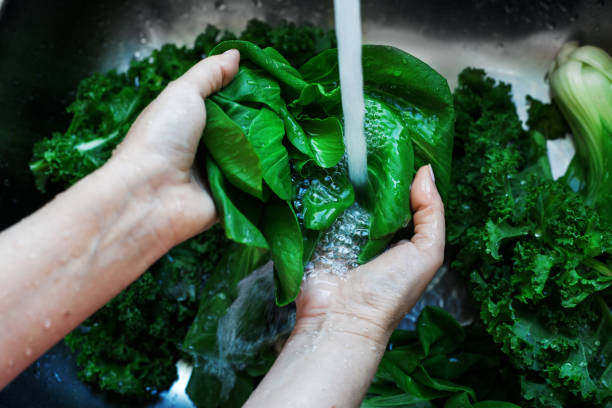 istock Washing fresh green kale leaves closeup 1253365561
