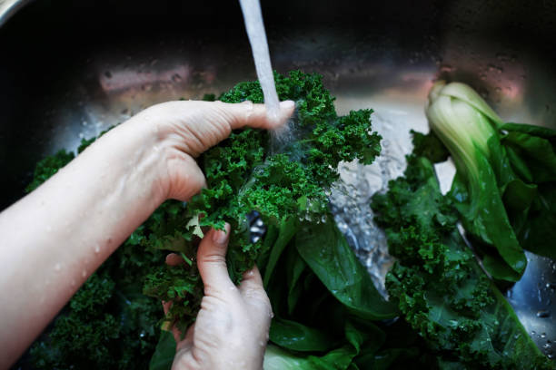 istock Washing fresh green kale leaves closeup 1253365632