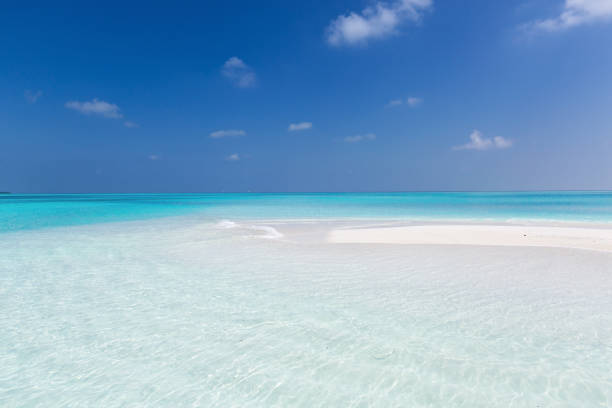 Maldivian sandbank in Indian ocean, white sandy coast with crystal azure color water, perfect getaway for tropical vacations