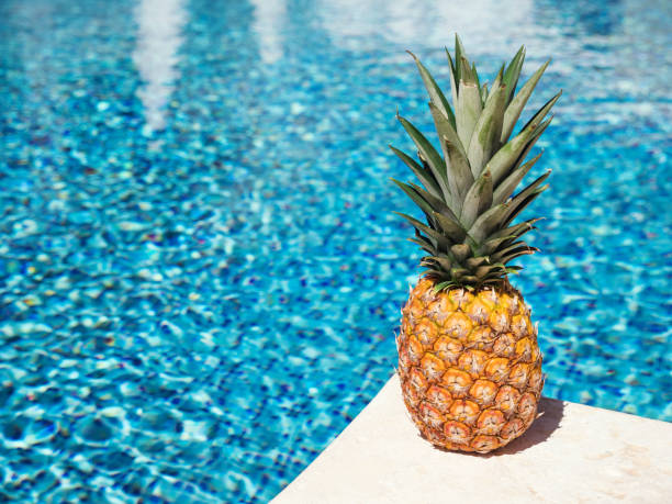 piña cerca de la piscina junto a la piscina - tourist resort apartment swimming pool caribbean fotografías e imágenes de stock