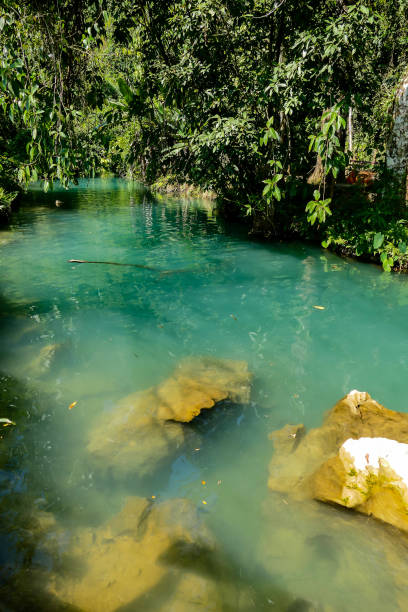 istock river in forest, digital photo picture as a background 1253372670