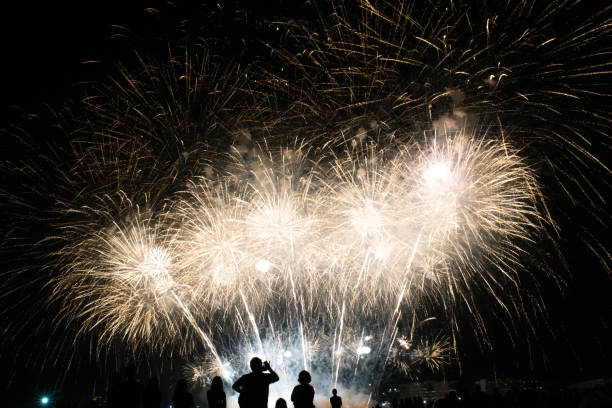 istock Big, Bright, Beautiful Fireworks Display in the Night Sky 1253376759