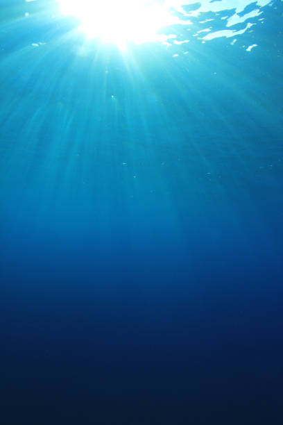 istock Underwater background in ocean 1253381474