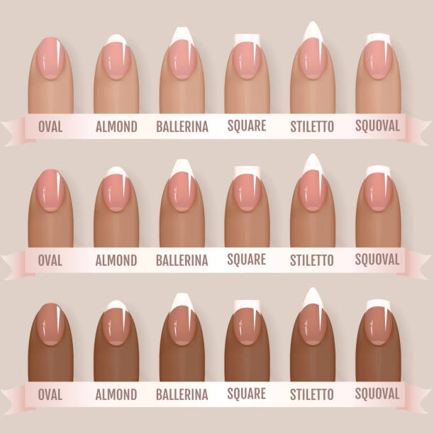 Nail Shape Stock Photos, Pictures & Royalty-Free Images - iStock