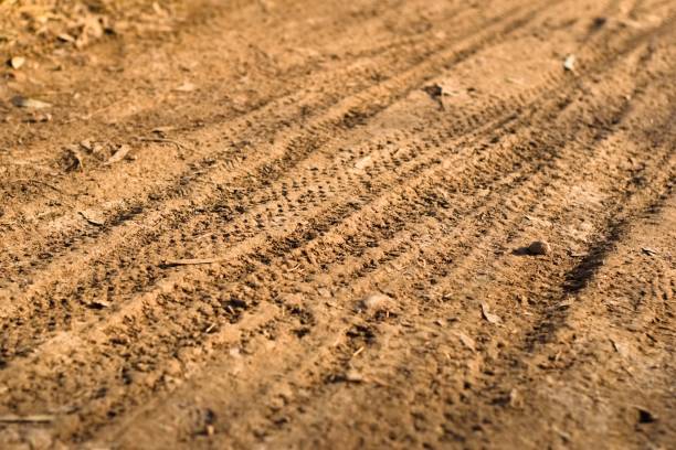 ciclovias em uma trilha de terra. feche os detalhes. - camel ride - fotografias e filmes do acervo