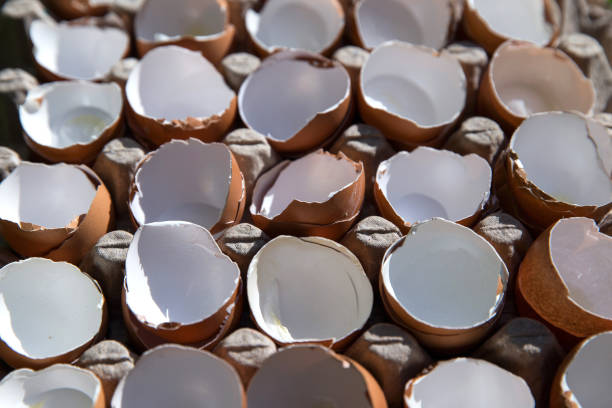 istock Broken yellow eggs in cardboard tray in shiny day. 1253388664