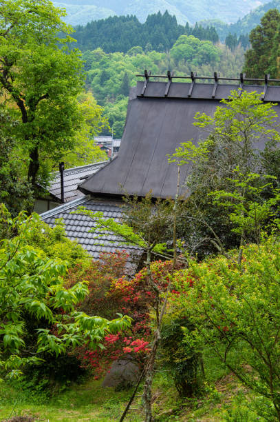 istock Japanese style architecture built in the forest 1253389343