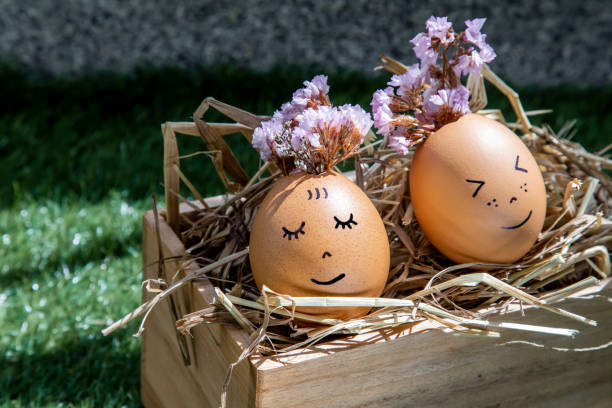 istock The two happy eggs is lying on dry straw. 1253391158