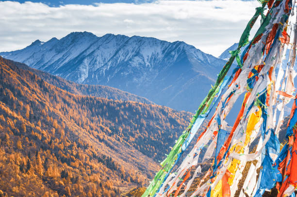 Colourful Nature landscape praying flag scenic view of Yading , Shangrila ,China, tibet mountain in autumn Colourful Nature landscape praying flag scenic view of Yading , Shangrila ,China, tibet mountain in autumn meili mountains photos stock pictures, royalty-free photos & images