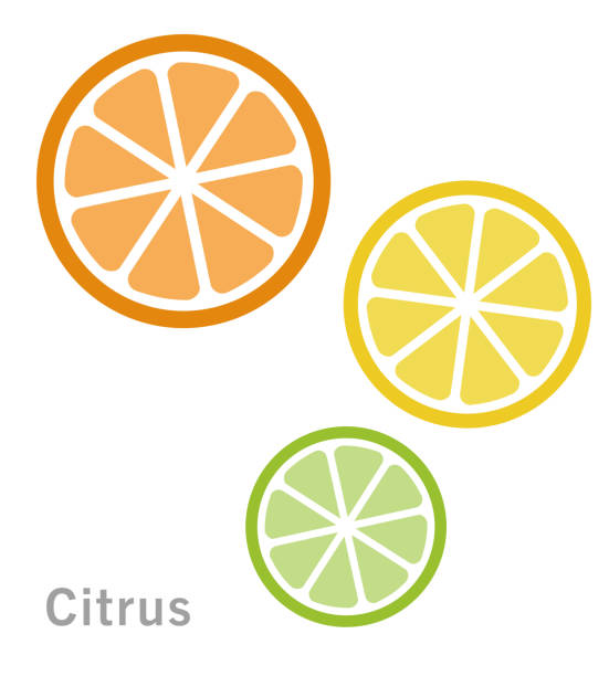 citric вырезать иконки вектор иллюстрации - lime juice illustrations stock illustrations