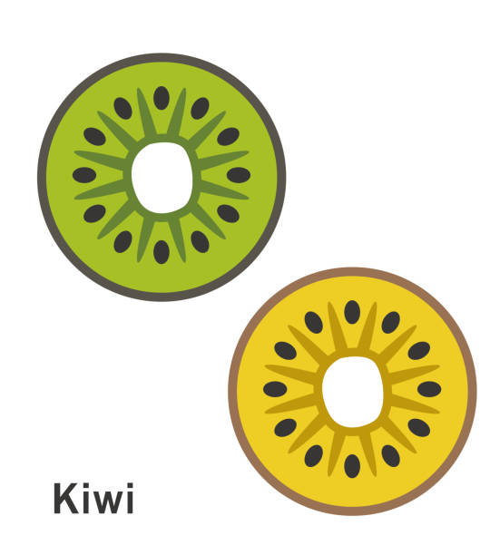 ilustrações, clipart, desenhos animados e ícones de kiwi corta ilustração vetorial de ícones - kiwi