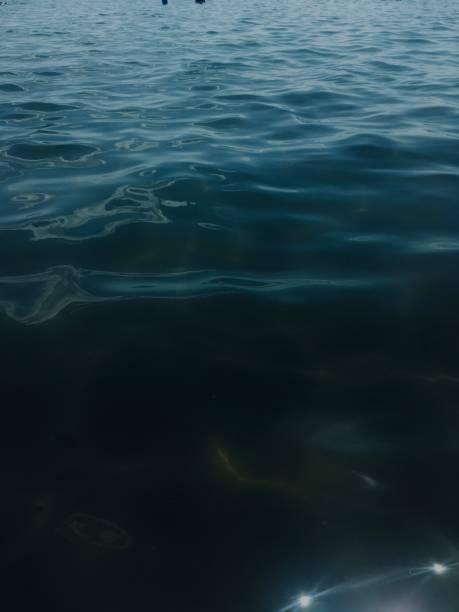 istock Summer at Black Sea 1253399547