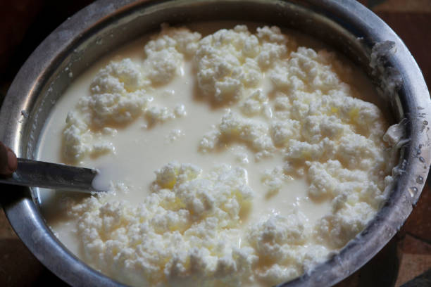 Curdling process of milk to Curd, Buttermilk , Separation Curdling process of milk to Curd, Buttermilk , Separation curd cheese stock pictures, royalty-free photos & images