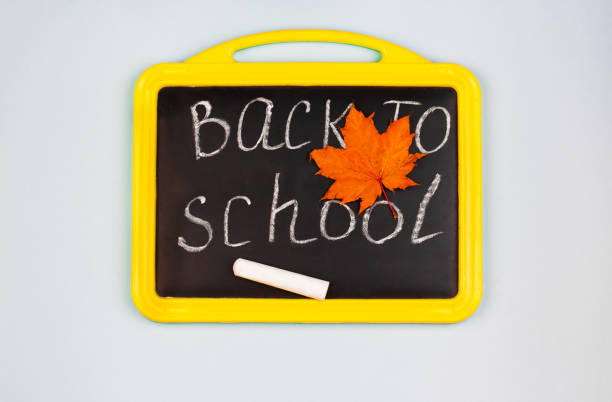 istock Back to school written on chalkboard witch books 1253403150