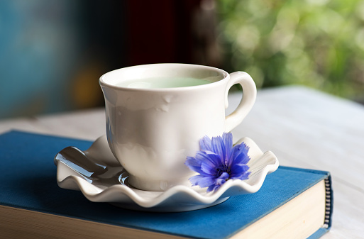 Blue Chicory flowers and herbal tea in a cup closeup
