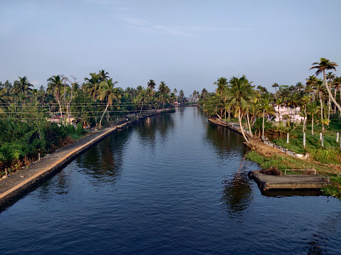 Rivers of Allepy with coconut trees, Kerala, India