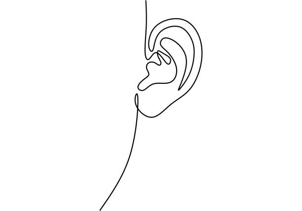 人間の耳の連続した線を描きます。世界の耳の聞こえない日のシンプルな1つのラインスケッチ。ミニマリストの手描きバナー。白い背景に分離されたボディシンボルのストックベクトルイラ - 耳点のイラスト素材／クリップアート素材／マンガ素材／アイコン素材