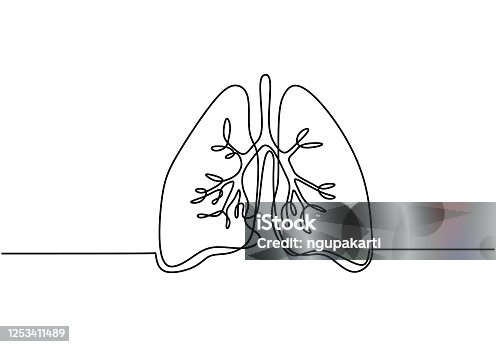 istock Single continuous line art of lungs. Lungs human organ one line illustration. Element of human parts for mobile concept and web apps icon. Minimalist lungs design contour drawing. Anatomy concept. 1253411489