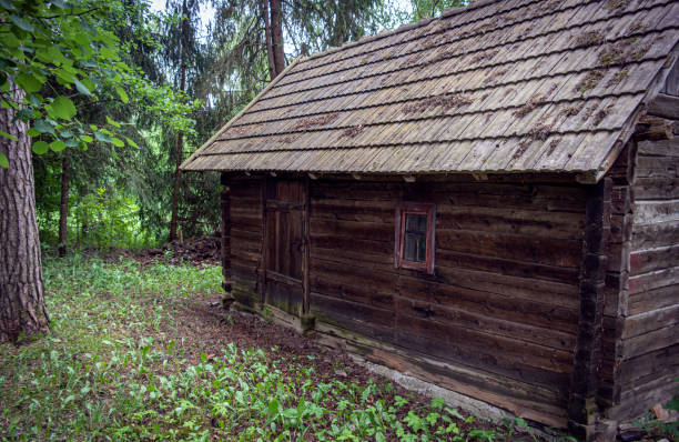 istock A hut in forest, old hut and vintage hut. 1253413876