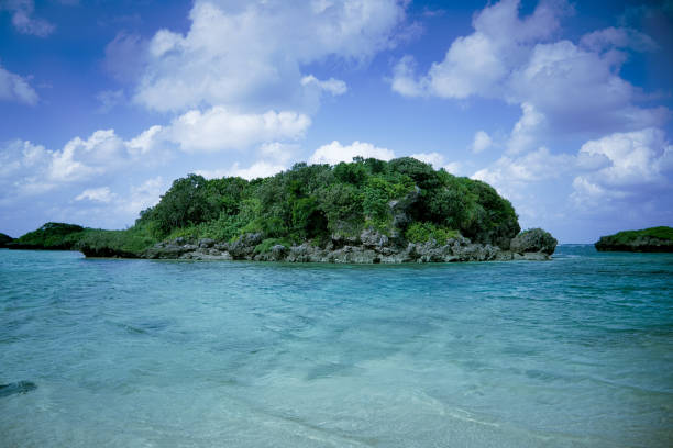 Amazing beach view on small island with trees and rock in a sunny day, Okinawa, Japan